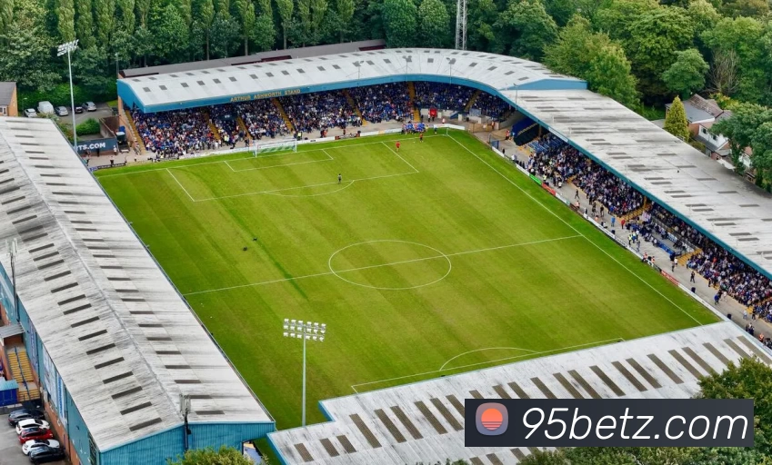 九五至尊官网平台生态图